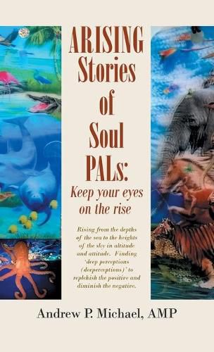 Cover image for Arising Soul Pals: Keep Your Eyes on the Rise