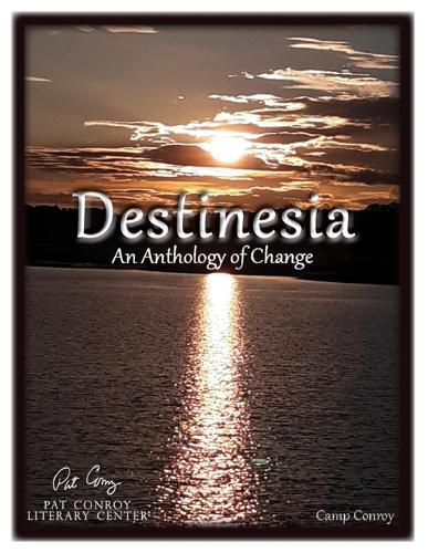 Cover image for Destinesia: An Anthology of Change