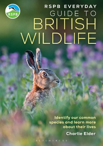 Cover image for RSPB Everyday Guide to British Wildlife