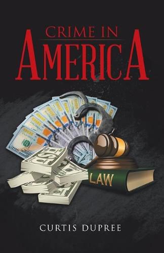 Cover image for Crime in America