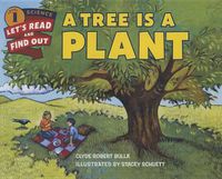 Cover image for A Tree Is a Plant