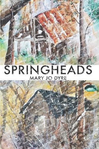 Cover image for Springheads