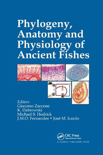 Cover image for Phylogeny, Anatomy and Physiology of Ancient Fishes