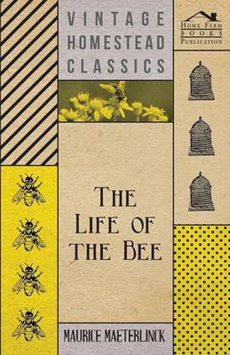 Cover image for The Life of the Bee