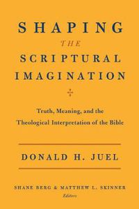 Cover image for Shaping the Scriptural Imagination: Truth, Meaning, and the Theological Interpretation of the Bible