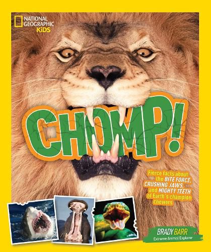 Cover image for Chomp!: Fierce Facts About the Bite Force, Crushing Jaws, and Mighty Teeth of Earth's Champion Chewers