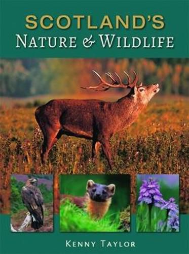 Cover image for Scotland's Nature & Wildlife