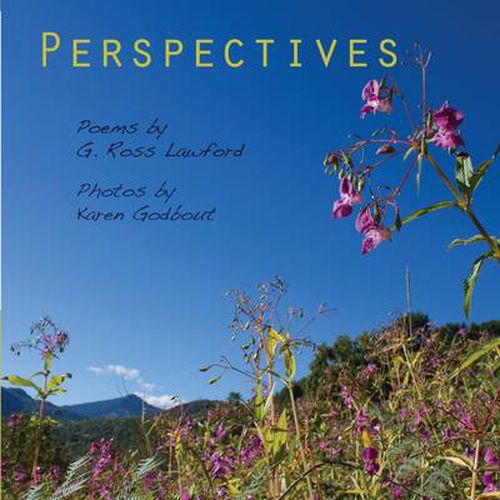 Cover image for Perspectives