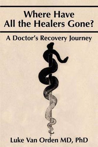 Cover image for Where Have All the Healers Gone?: A Doctor S Recovery Journey