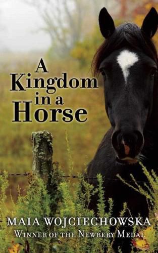 Cover image for A Kingdom in a Horse