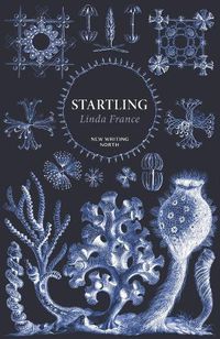 Cover image for Startling