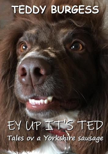 Cover image for Ey Up It's Ted: Tales ov a Yorkshire Sausage