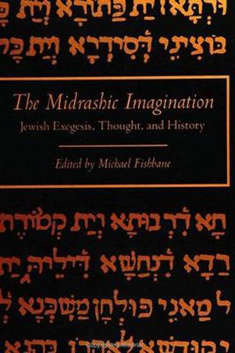 Cover image for The Midrashic Imagination: Jewish Exegesis, Thought, and History