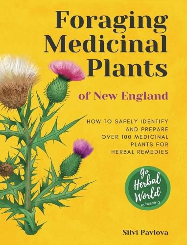 Cover image for Foraging Medicinal Plants of New England: How to safely identify and prepare over 100 medicinal plants for herbal remedies