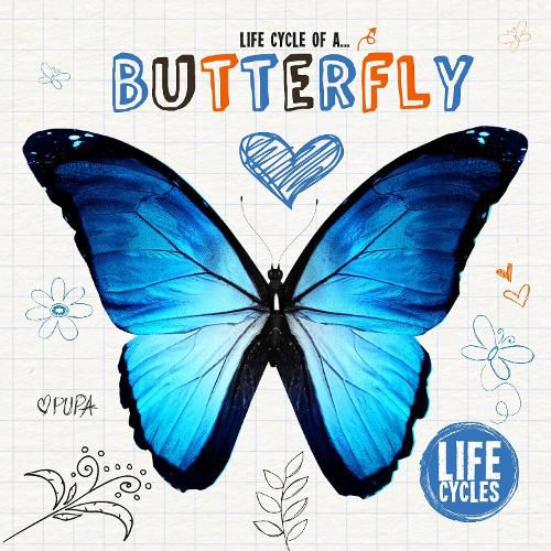 Cover image for Butterfly