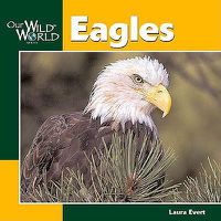 Cover image for Eagles