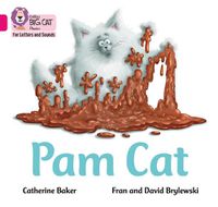 Cover image for Pam Cat: Band 01b/Pink B