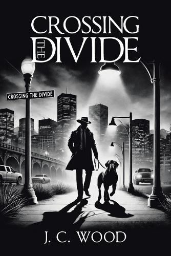 Cover image for Crossing the Divide
