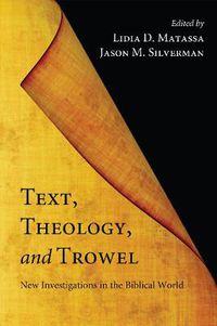 Cover image for Text, Theology, and Trowel: New Investigations in the Biblical World