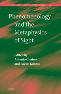 Cover image for Phenomenology and the Metaphysics of Sight