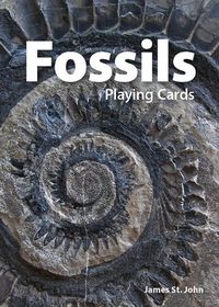 Cover image for Fossils Playing Cards