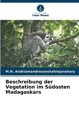 Cover image for Beschreibung der Vegetation im Suedosten Madagaskars