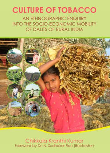 Cover image for Culture of Tobacco: An Ethnographic Enquiry into the Socio-Economic Mobility of Dalits of Rural India