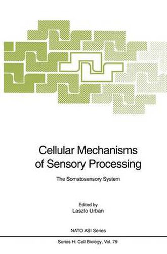 Cover image for Cellular Mechanisms of Sensory Processing: The Somatosensory System