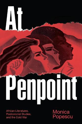 Cover image for At Penpoint: African Literatures, Postcolonial Studies, and the Cold War