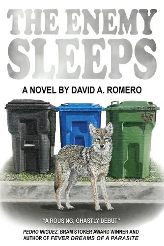 Cover image for The Enemy Sleeps