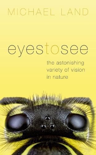 Cover image for Eyes to See: The Astonishing Variety of Vision in Nature