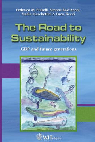 Cover image for The Road to Sustainability: GDP and future generations