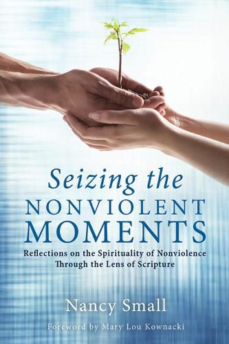 Cover image for Seizing the Nonviolent Moments: Reflections on the Spirituality of Nonviolence Through the Lens of Scripture