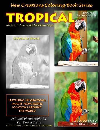 Cover image for New Creations Coloring Book Series: Tropical