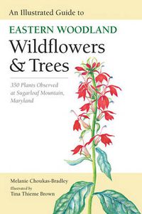 Cover image for An Illustrated Guide to Eastern Woodland Wildflowers and Trees: 350 Plants Observed at Sugarloaf Mountain, Maryland