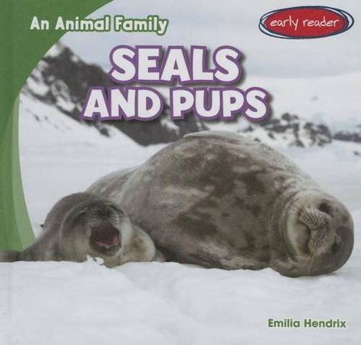 Cover image for Seals and Pups