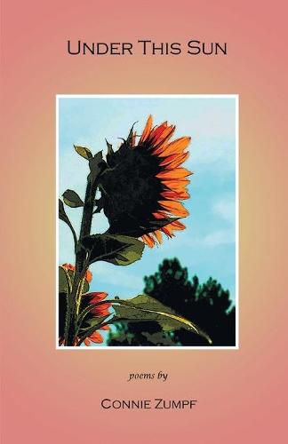 Cover image for Under This Sun