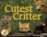 Cover image for Cutest Critter