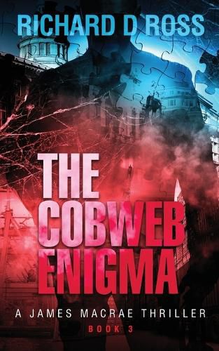 Cover image for The Cobweb Enigma