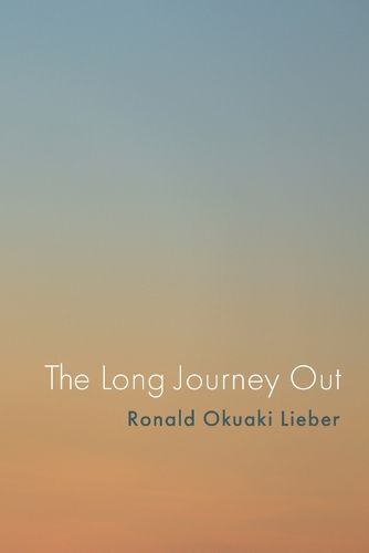 Cover image for The Long Journey Out