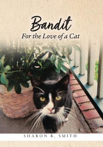 Cover image for Bandit