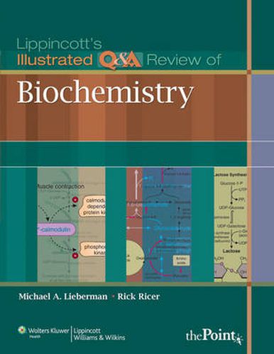 Cover image for Lippincott's Illustrated Q&A Review of Biochemistry