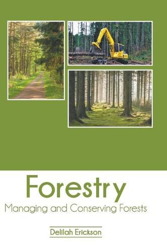 Cover image for Forestry: Managing and Conserving Forests