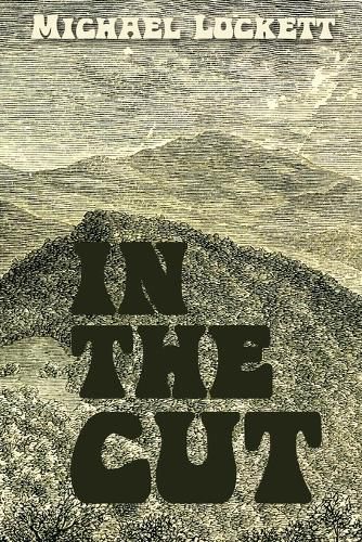 Cover image for In the Cut
