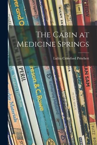 Cover image for The Cabin at Medicine Springs