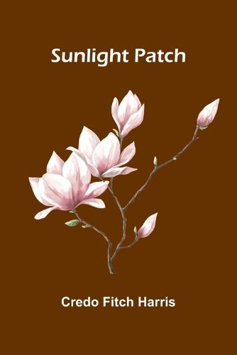 Cover image for Sunlight Patch