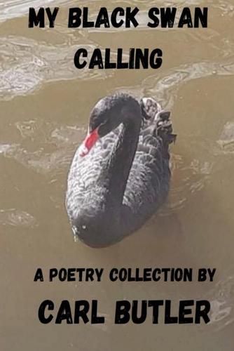 Cover image for My Black Swan Calling