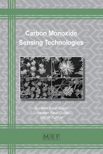 Cover image for Carbon Monoxide Sensing Technologies