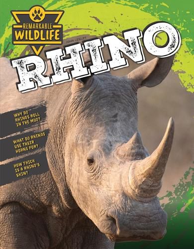 Cover image for Rhino