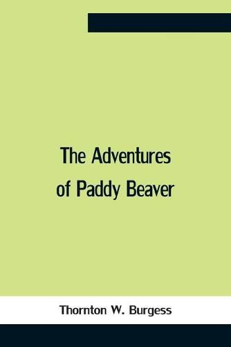 Cover image for The Adventures Of Paddy Beaver